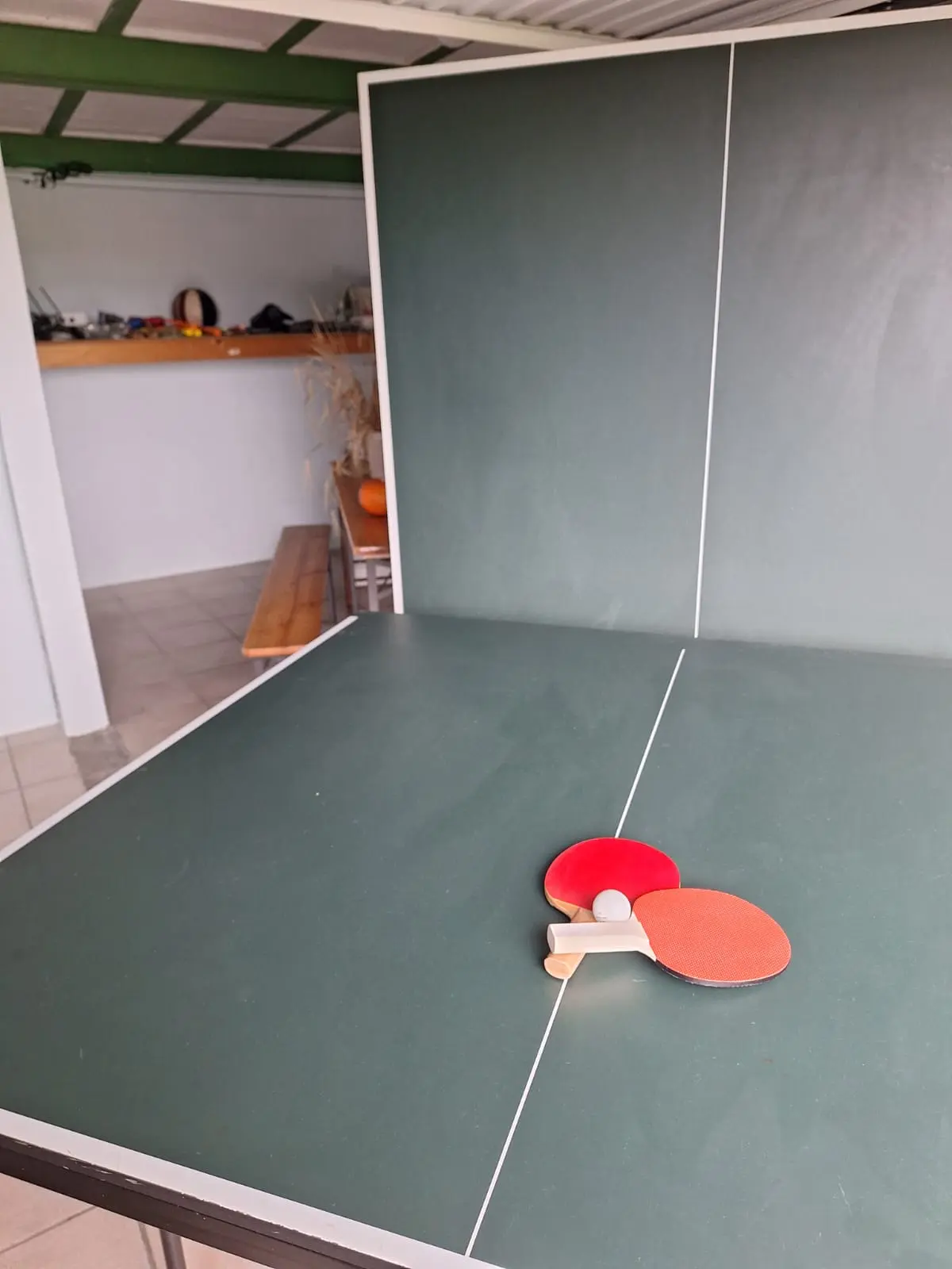 Ping Pong - Gîte La Blanche Epine