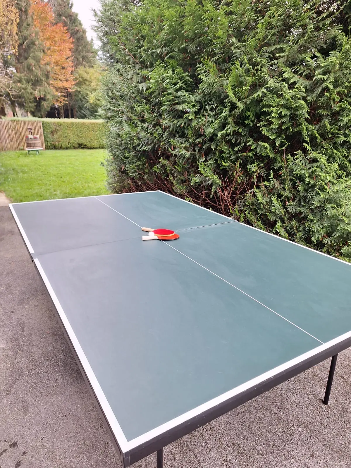 Ping-Pong 2 - Gîte La Blanche Epine