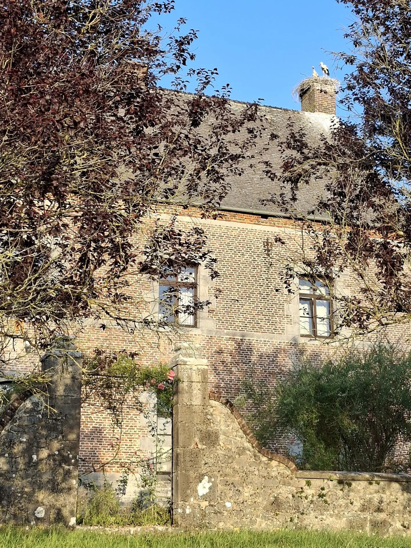 Gîte - Gîte La Blanche Epine