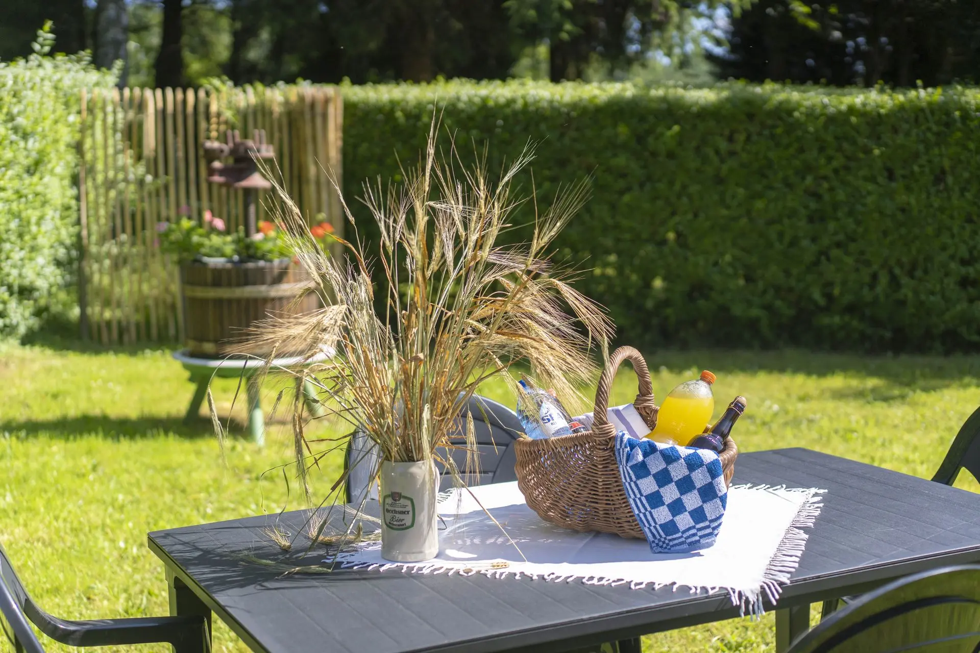 Jardin 3 -  gîte La Blanche Epine  Momignies
